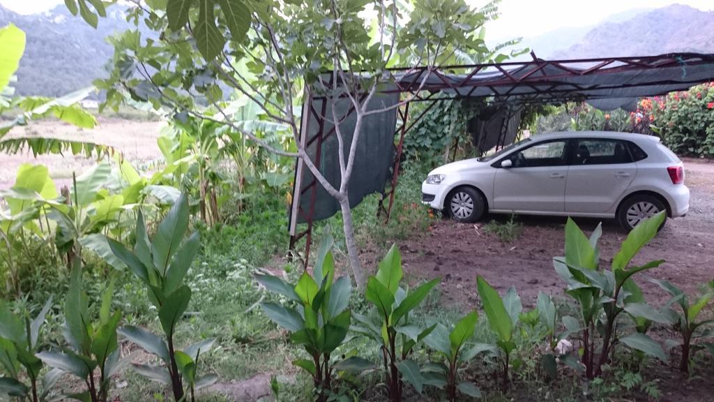 Sera Pansiyon Çıralı Exterior foto